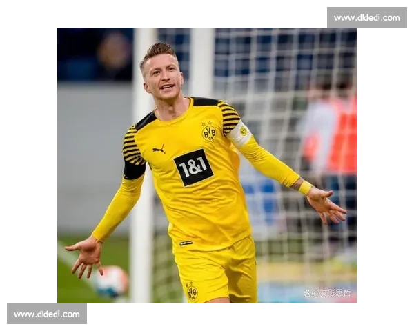 告别绿茵 legends！德甲历史冠军们的辉煌谢幕令人动容